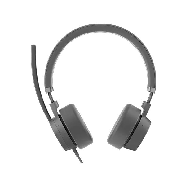 Lenovo GXD1C99243 hoofdtelefoon/headset Bedraad Hoofdband Oproepen/muziek USB Type-C Grijs (GXD1C99243)