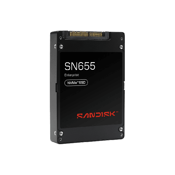 SANDISK SN655 NVMe SSD 30.72TB SE (0TS2507)