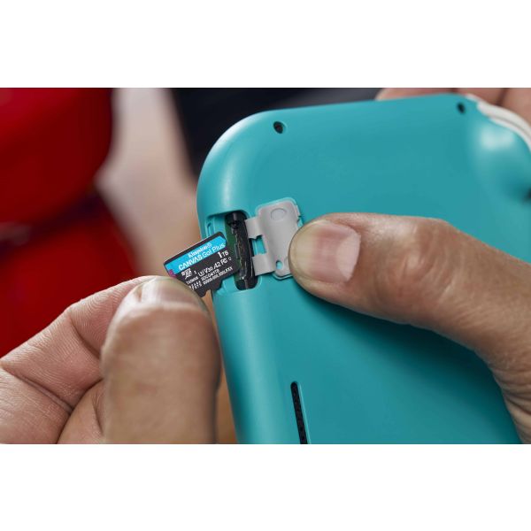 Kingston Technology 1TB microSDXC Canvas Go! Plus Gen4 200R A2 U3 enkel pakket zonder adapter (SDCG4/1TBSP)