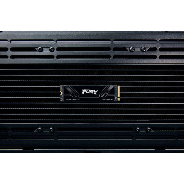 Kingston Technology 2T FURY RENEGADE G5 M.2 2280 NVMe SSD (SFYR2S/2T0) Kingston Technology 2T FURY RENEGADE G5 M.2 2280 NVMe SSD (SFYR2S/2T0)