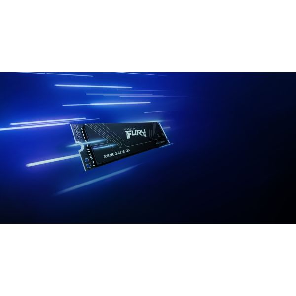 Kingston Technology 4T FURY RENEGADE G5 M.2 2280 NVMe SSD (SFYR2S/4T0)