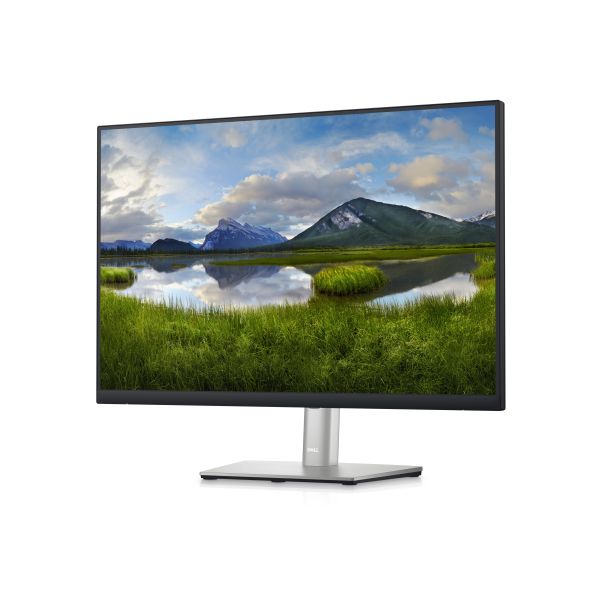 DELL P Series 24 monitor - P2423 (210-BDFS)