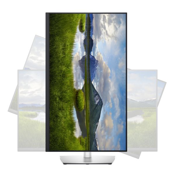 DELL 32 USB-C-monitor - P3221D (DELL-P3221D)