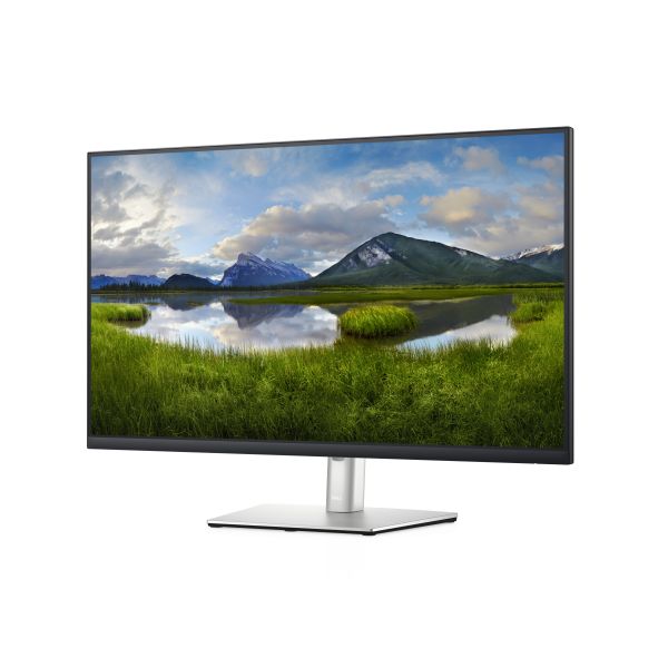 DELL 32 USB-C-monitor - P3221D (DELL-P3221D)
