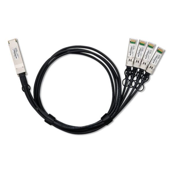 Zyxel DAC100F25-1M-ZZ0101F InfiniBand en Glasvezelkabel QSFP28 4x QSFP28 DAC Zwart (DAC100F25-1M-ZZ010)