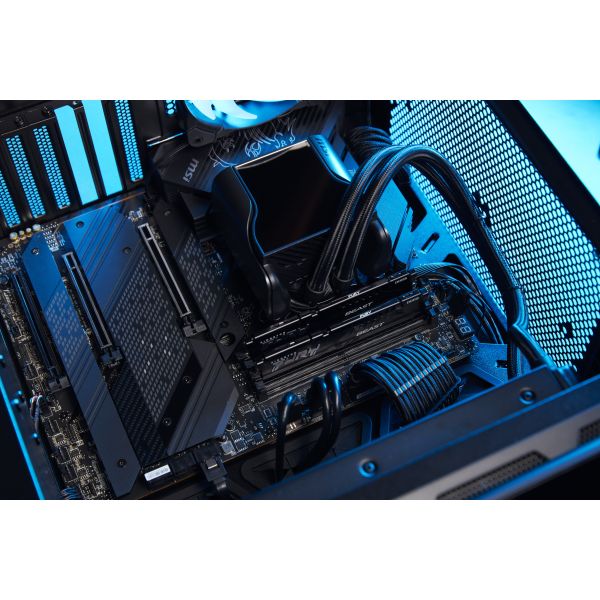 Kingston Technology FURY Beast 64GB 5600MT/s DDR5 CL36 DIMM Black (KF556C36BBE-64)