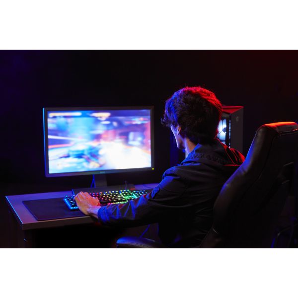 Kingston Technology FURY Beast 32GB 6000MT/s DDR5 CL36 DIMM Black (KF560C36BBE2-32)