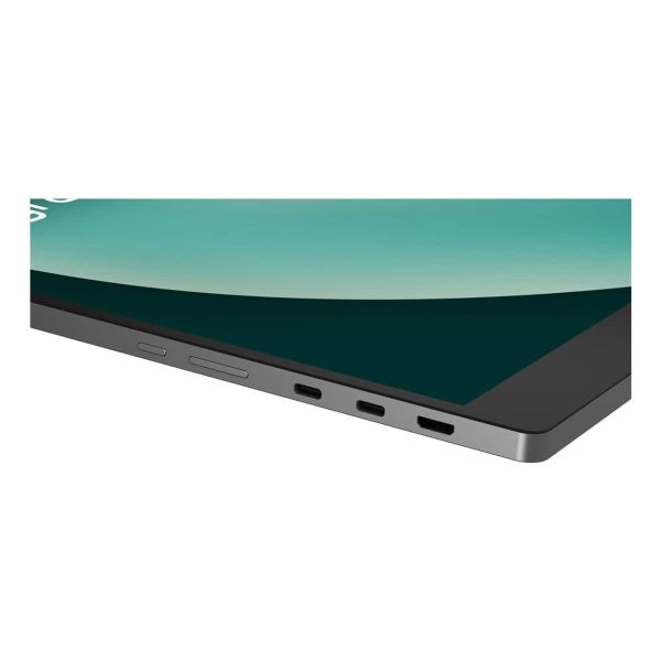 LG 17MT70 Draagbare monitor Zwart, Roestvrijstaal 43,2 cm (17") LED 2560 x 1600 Pixels (17MT70.ASDWU)