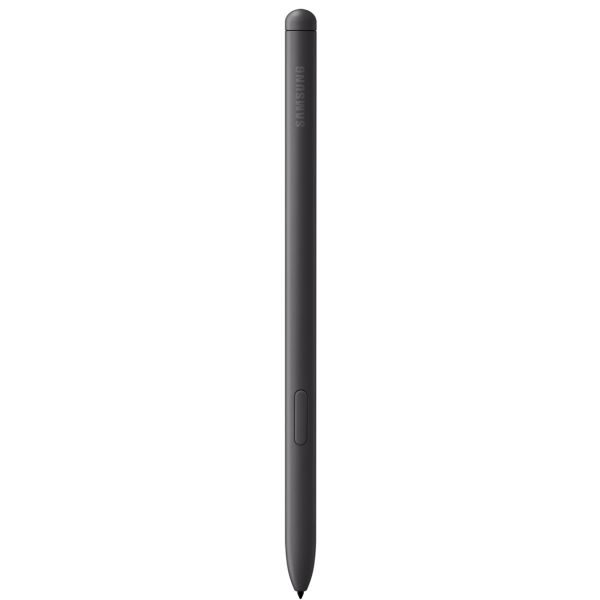 Samsung Galaxy Tab S6 Lite (2024) LTE 4G Samsung Exynos LTE-TDD & LTE-FDD 64 GB 26,4 cm (10.4") 4 GB Wi-Fi 5 (802.11ac) Grijs (SM-P625NZAAEUE)