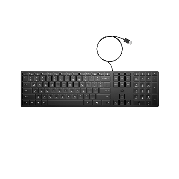 HP SPS-KEYBOARD 320K WIRED TURK (P24877-141)