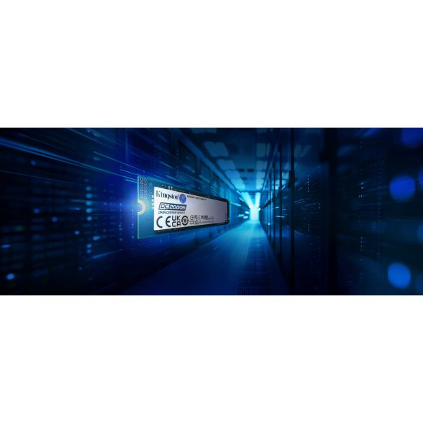 Kingston Technology 240G DC2000B M.2 4.0 M.2 2280 SSD (Zonder heatsink) (SEDC2000BYM8/240G)