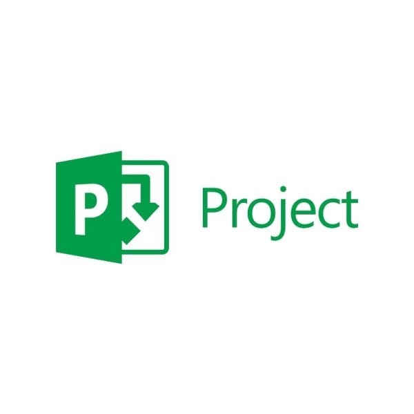 Microsoft Project Standard 2010 (076-04634)
