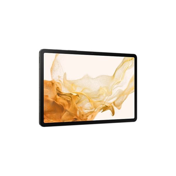 Samsung Galaxy Tab S8 SM-X706B 5G Qualcomm Snapdragon LTE-TDD & LTE-FDD 128 GB 27,9 cm (11") 8 GB Wi-Fi 6E (802.11ax) Grafiet (SM-X706BZAAEUB)