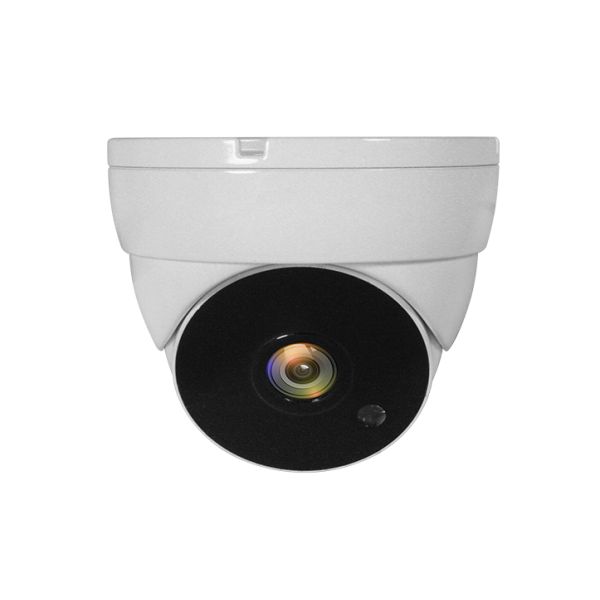 LevelOne ACS-5302 bewakingscamera Dome CCTV-bewakingscamera Binnen & buiten Plafond (ACS-5302)