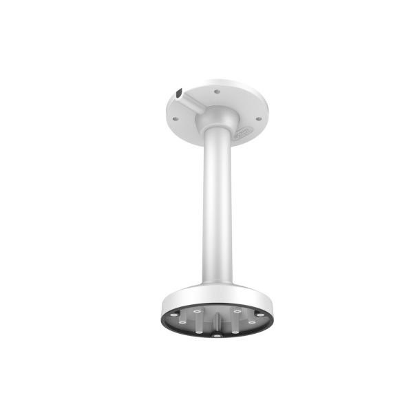 LevelOne CAS-7317 beveiligingscamera steunen & behuizingen Support (CAS-7317)