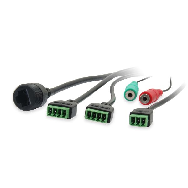 LevelOne FCS-4048 Dome IP-beveiligingscamera Binnen & buiten 1920 x 1080 Pixels Plafond (FCS-4048)