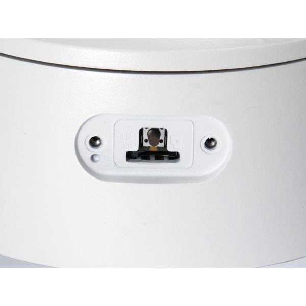 LevelOne FCS-4203 Dome IP-beveiligingscamera Binnen & buiten 1920 x 1080 Pixels Plafond/muur (FCS-4203)