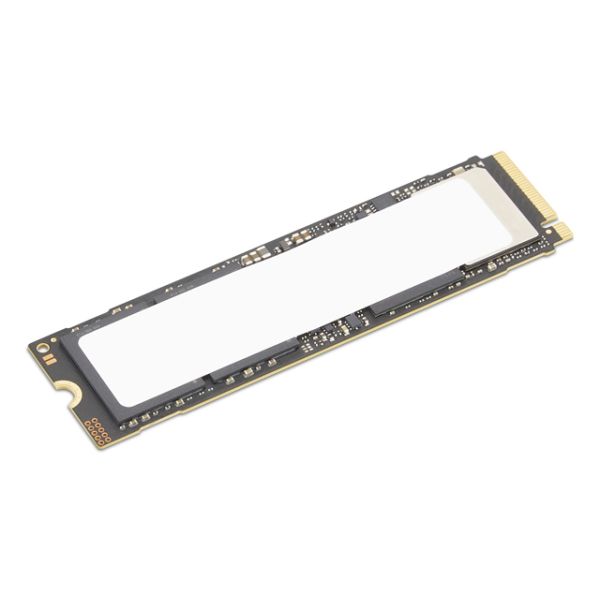 Lenovo 4XB1S30110 internal solid state drive 512 GB M.2 PCI Express 5.0 NVMe (4XB1S30110)