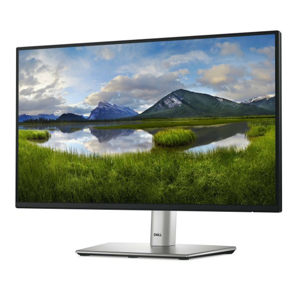 DELL P Series P2225H computer monitor 54,6 cm (21.5") 1920 x 1080 Pixels Full HD LCD Zwart, Zilver (P2225H)