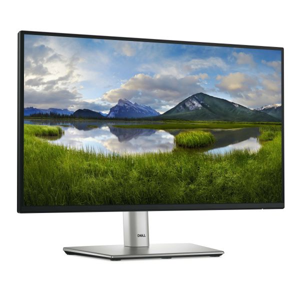 DELL P Series P2225H computer monitor 54,6 cm (21.5") 1920 x 1080 Pixels Full HD LCD Zwart, Zilver (P2225H)
