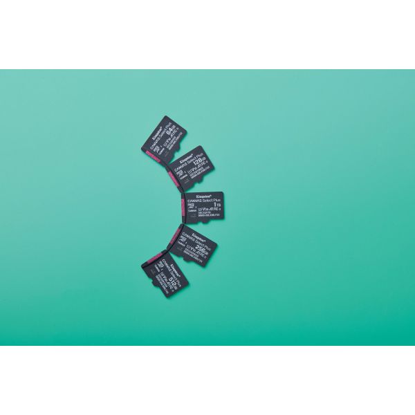 Kingston Technology 64GB micSDXC Canvas Select Plus Gen3 100R A1 enkel pakket zonder ADP (SDCS3/64GBSP)