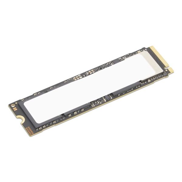 Lenovo 4XB1S30116 internal solid state drive 4 TB M.2 PCI Express 5.0 NVMe (4XB1S30116)