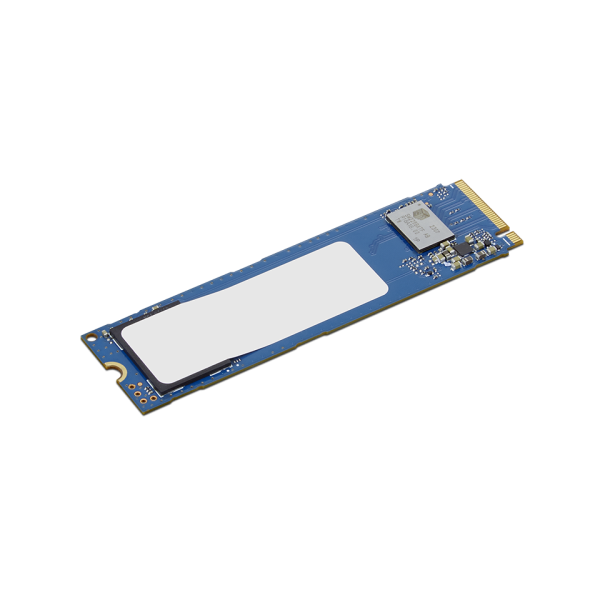 Lenovo ThinkCentre 256GB PCIe Gen4 NVMe (4XB1T87550)