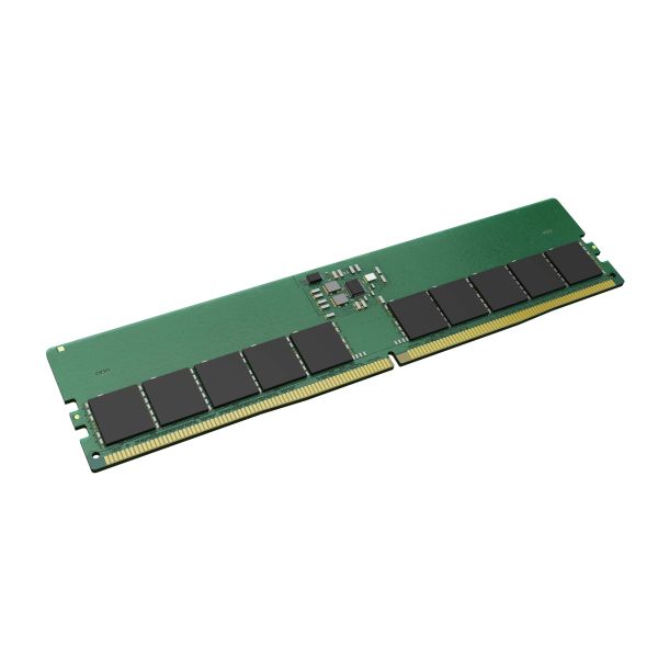 Kingston Technology KTH-PL556E-16G geheugenmodule 16 GB 1 x 16 GB DDR5 5600 MT/s ECC (KTH-PL556E-16G)