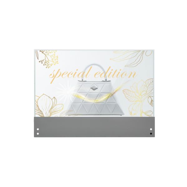 LG 30EW5TP-A beeldkrant Digitale signage flatscreen 76,2 cm (30") OLED 600 cd/m² HD Zilver Touchscreen 18/7 (30EW5TP-A)