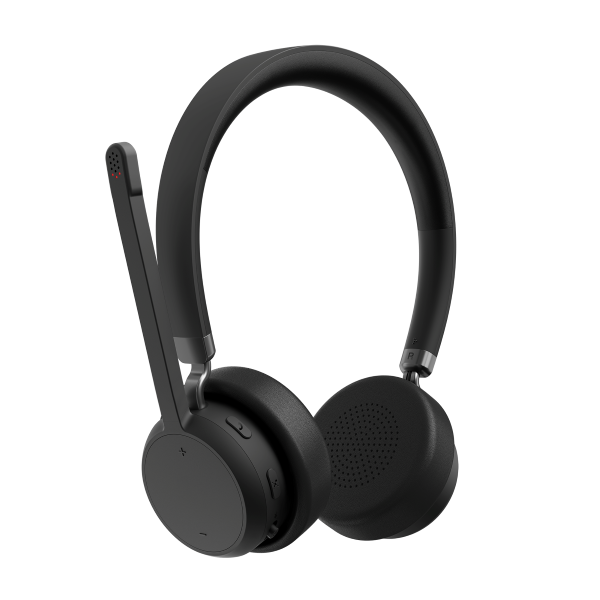 Lenovo Headset met Microfoon (0C33132)