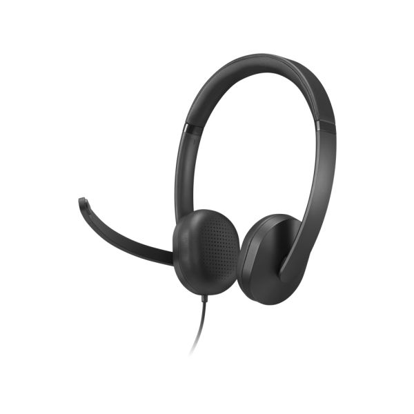 Lenovo VoIP Headset 5000 Bedraad Hoofdband Kantoor/callcenter USB Type-C Zwart (4XD1R88995)