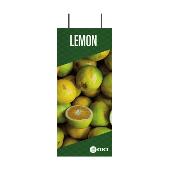 OKI FASTDISP A3 Plafondbevestigd Informatiedisplay Metaal 30x162cm (09006052)