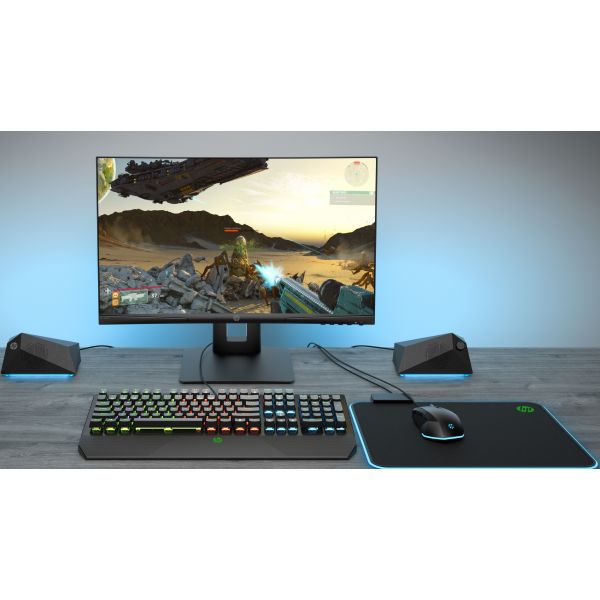 HP X24c Curved Gaming Monitor (L91200-001)