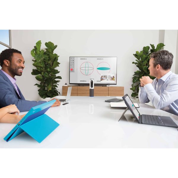 Logitech Connect Zilver 1920 x 1080 Pixels (960-001034)
