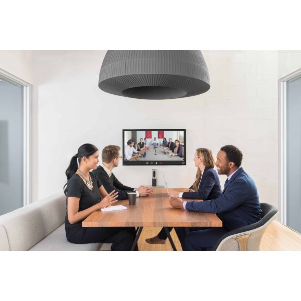 Logitech Connect Zilver 1920 x 1080 Pixels (960-001034)