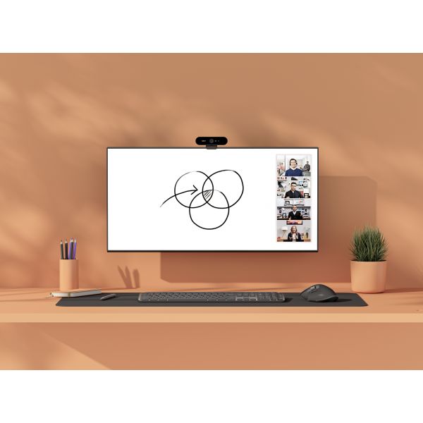 Logitech Scribe (960-001332)
