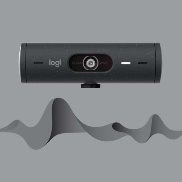 Logitech Brio 500 webcam 4 MP 1920 x 1080 Pixels USB-C Grafiet (960-001422)
