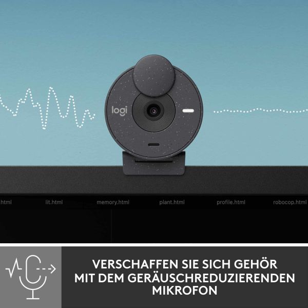 Logitech Brio 300 webcam 2 MP 1920 x 1080 Pixels USB-C Grafiet (960-001436)