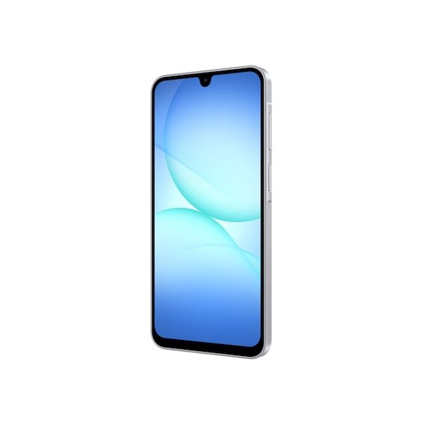 Samsung Galaxy A17 17 cm (6.7") Hybride Dual SIM 4G USB Type-C 4 GB 128 GB 5000 mAh Grijs (SM-A175FZABEUB)