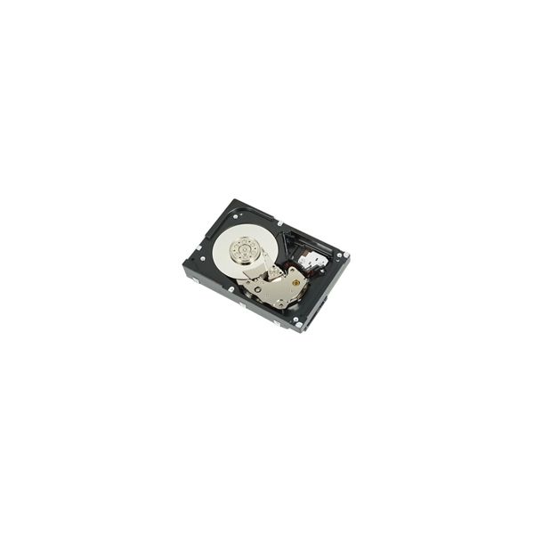 DELL WTJVY interne harde schijf 2 TB 7200 RPM 3.5" NL-SAS (WTJVY)
