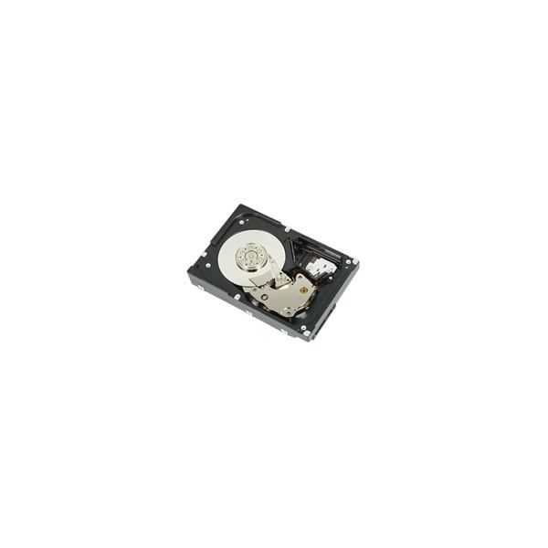 DELL WTJVY interne harde schijf 2 TB 7200 RPM 3.5" NL-SAS (WTJVY)