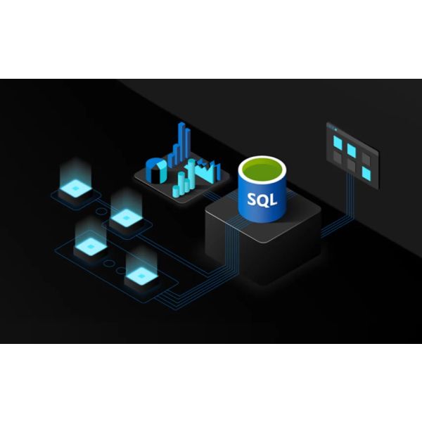 Microsoft MS OVL SQL Svr Std Core 2Lic/SA ADD 2Y2Y [NL] (7NQ-00108)