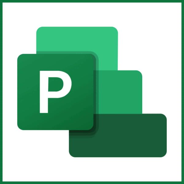 Microsoft MS OVL Project Std Lic/SA ADD 3Y1Y [NL] (076-03399)
