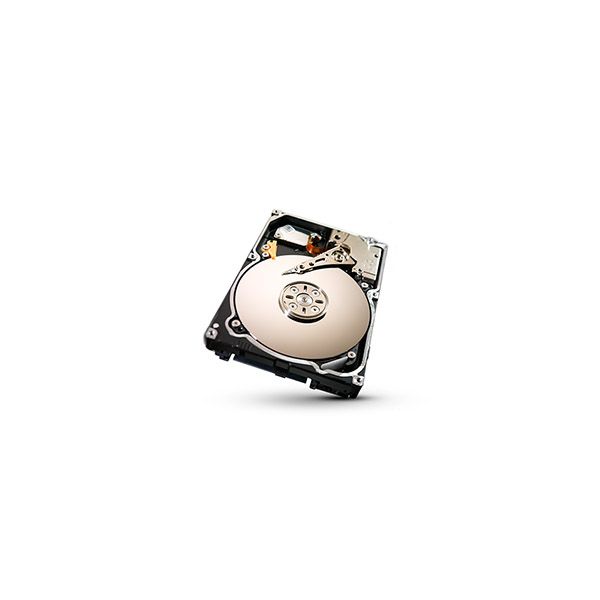 Seagate Constellation .2 interne harde schijf 500 GB 7200 RPM 64 MB 2.5" SATA (ST9500620NS-RFB)