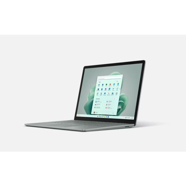Microsoft Windows Small Business Server (6UA-02361)