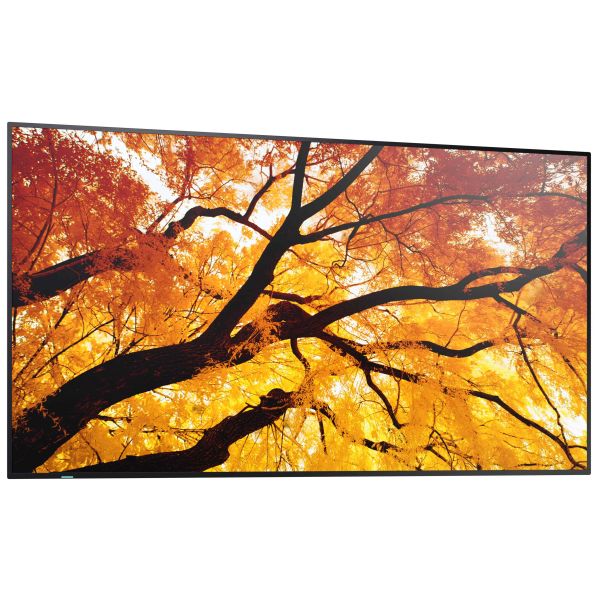 Sharp MultiSync M552 Digitale signage flatscreen 139,7 cm (55") LCD 550 cd/m² 4K Ultra HD Zwart Touchscreen (60006055)