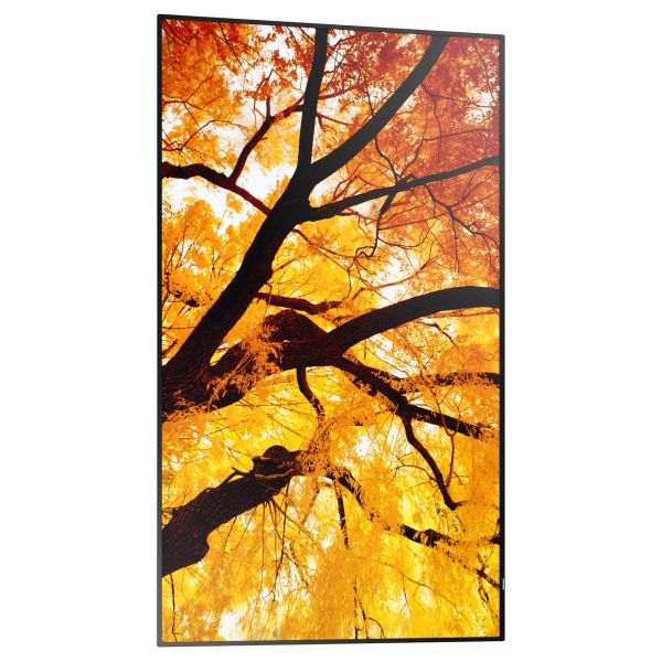 Sharp MultiSync M552 Digitale signage flatscreen 139,7 cm (55") LCD 550 cd/m² 4K Ultra HD Zwart Touchscreen (60006055)