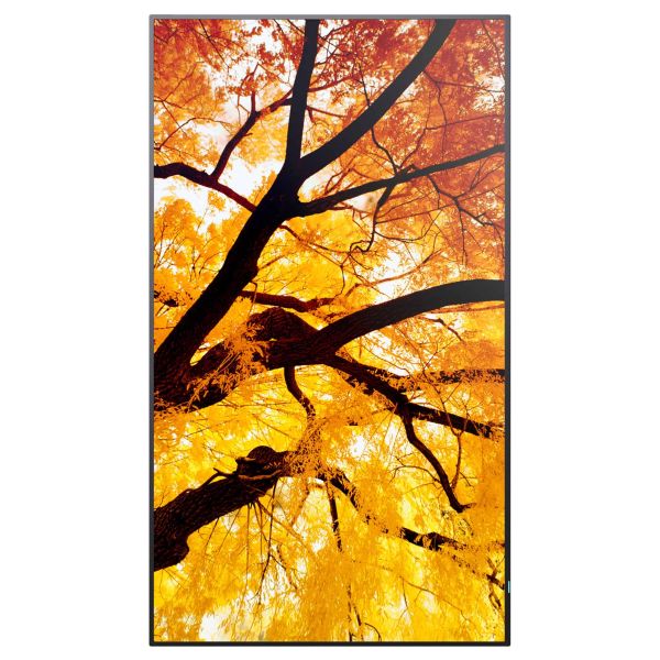 Sharp MultiSync M552 Digitale signage flatscreen 139,7 cm (55") LCD 550 cd/m² 4K Ultra HD Zwart Touchscreen (60006055)