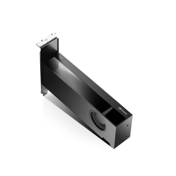 PNY NVIDIA RTX 2000 Ada Retail (900-5G192-2541-000)