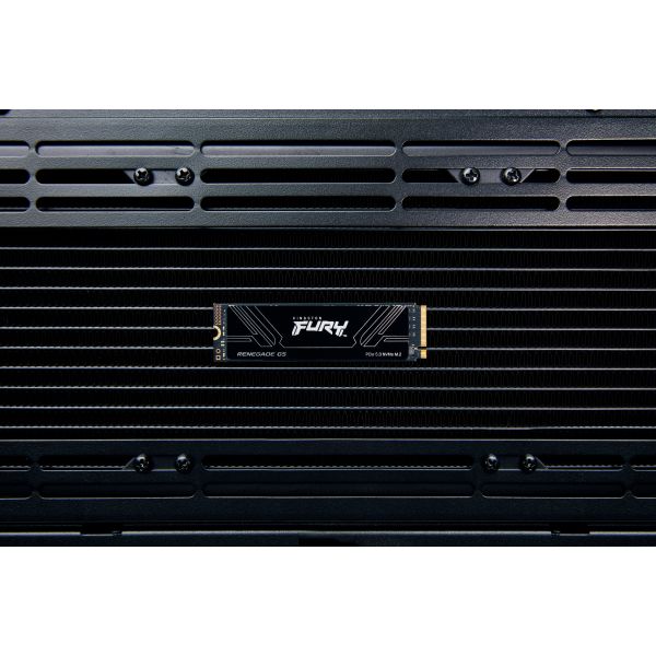 Kingston Technology 8T FURY RENEGADE G5 M.2 2280 NVMe SSD (SFYR2D/8T1) 11/16 Kingston Technology 8T FURY RENEGADE G5 M.2 2280 NVMe SSD (SFYR2D/8T1)